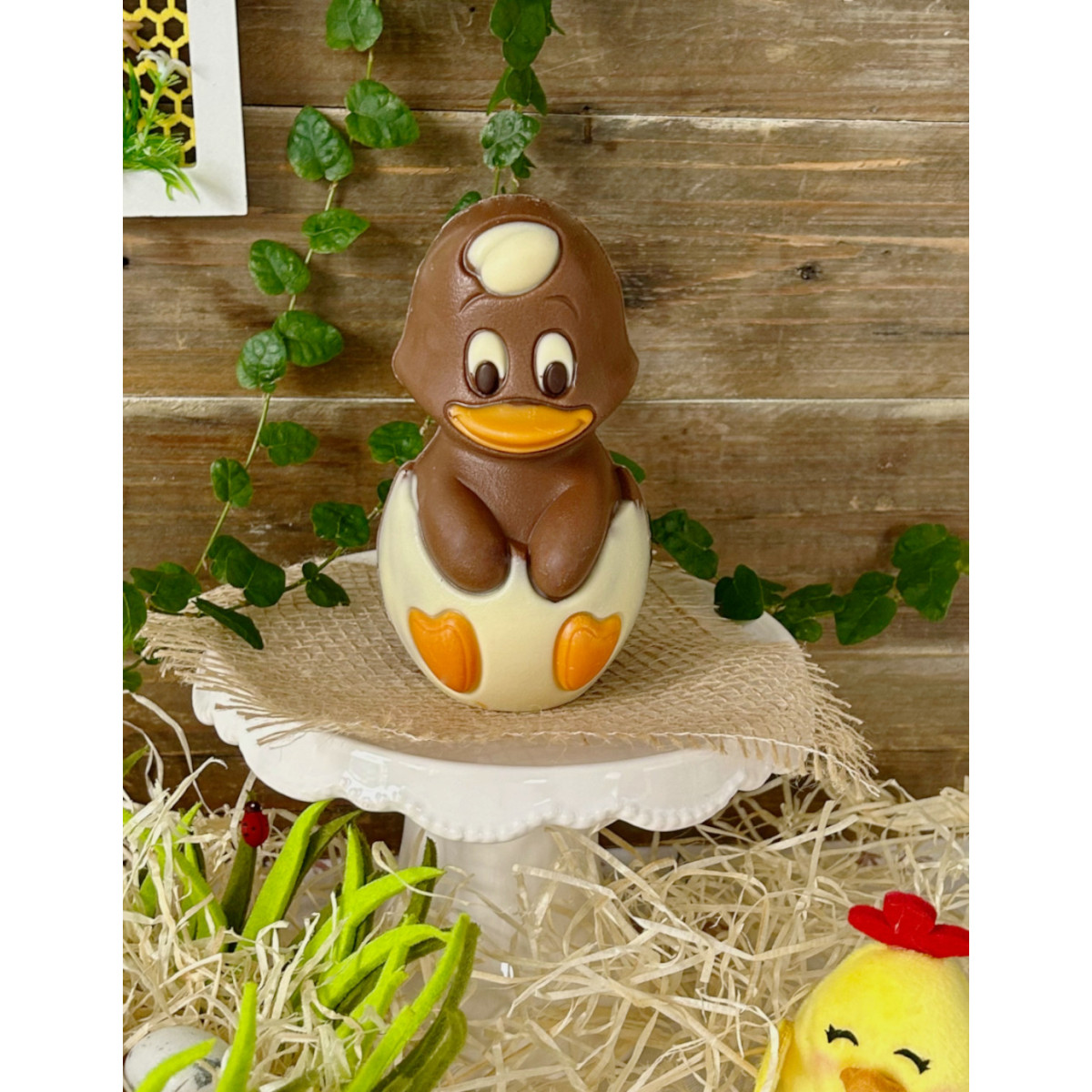 Plume le poussin - Chocolat lait 150g