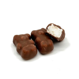 Oursons guimauve vanille - Chocolat lait 100g